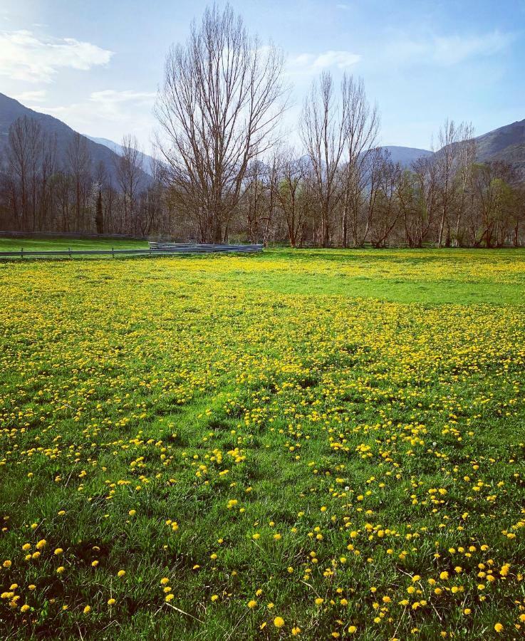 Les Ares Daire Esterri d'Àneu Dış mekan fotoğraf
